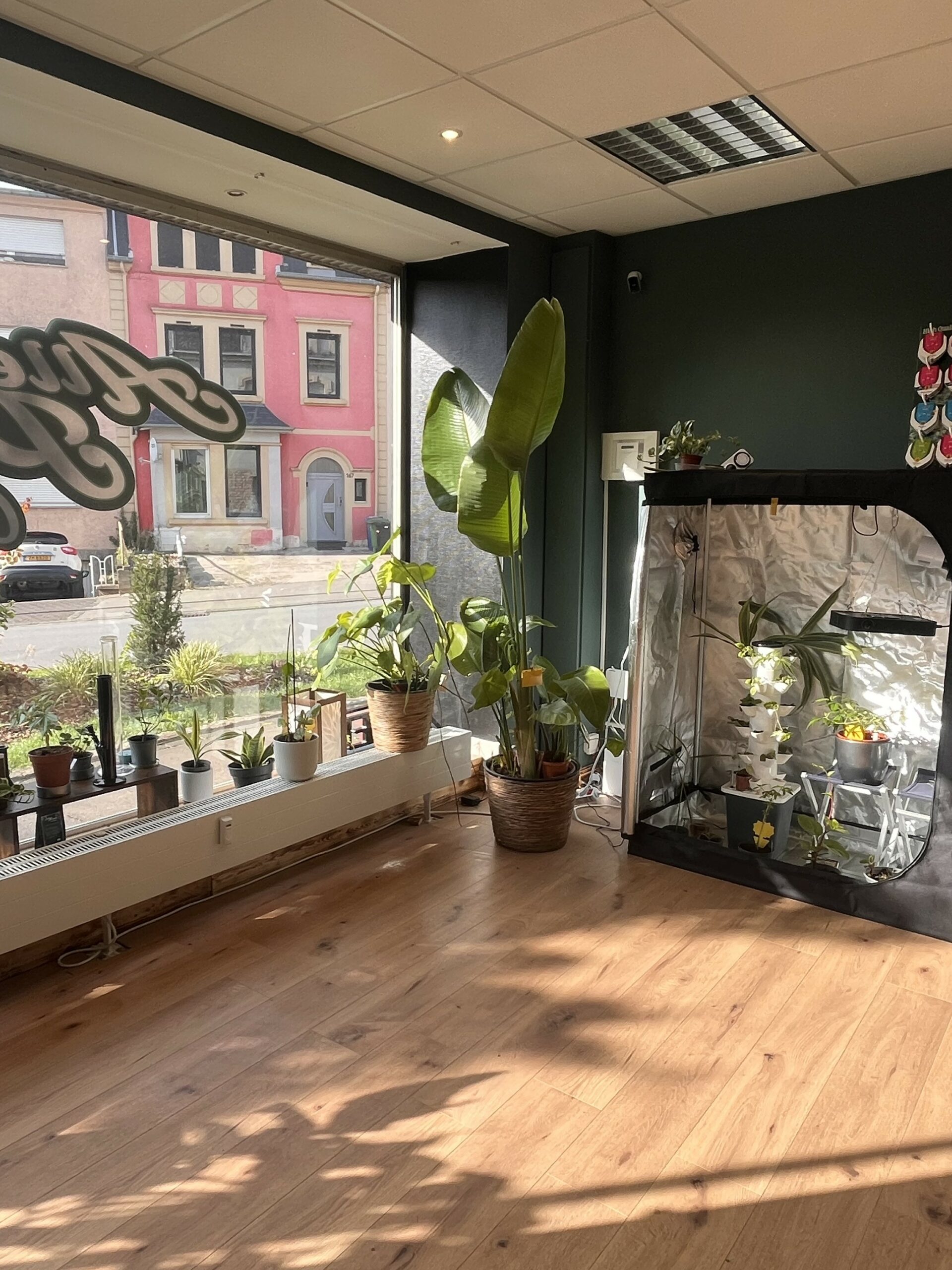 differdangeshop3_bis