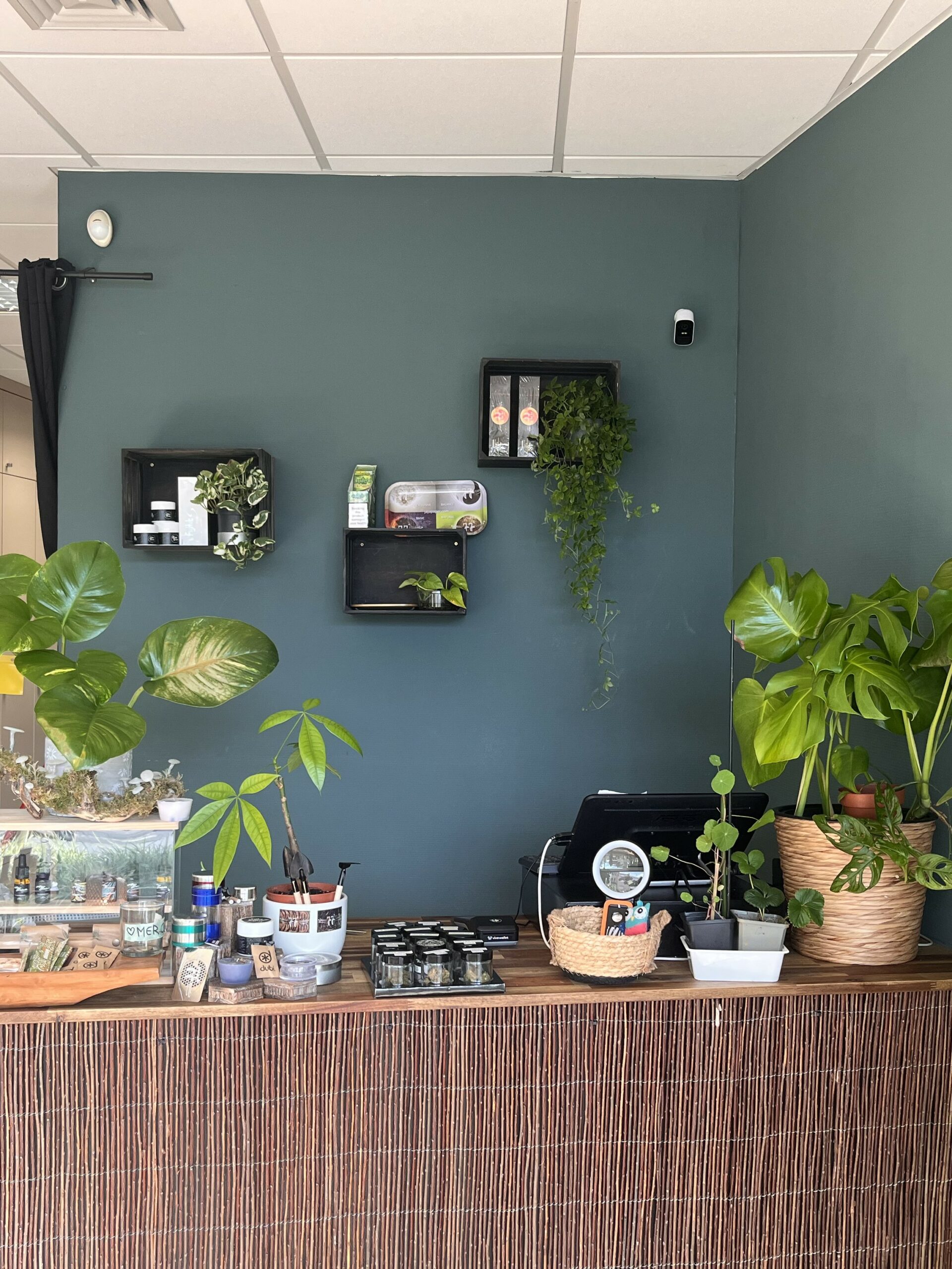 differdangeshop4_bis